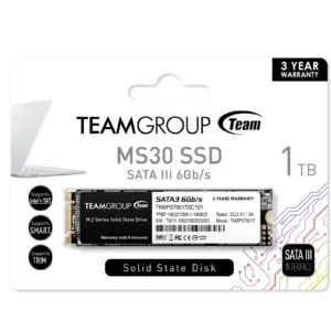 Team MS30 1TB M.2 Sata (TM8PS7001T0C101) 1TB