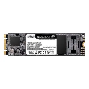 Team MS30 256GB M.2 Sata (TM8PS7256G0C101) 256GB