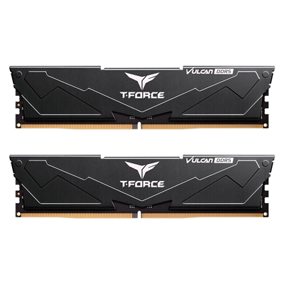 16GB (2 x 8GB) DDR5