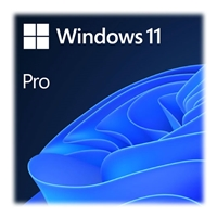 Microsoft Windows 11 Pro 64bit All Language ESD - Image 3