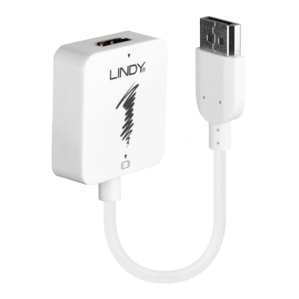 Lindy 38146 HDMI (F) 1.4 To DisplayPort (M) 1.1 3840x2160@30Hz Adapter Cable - White